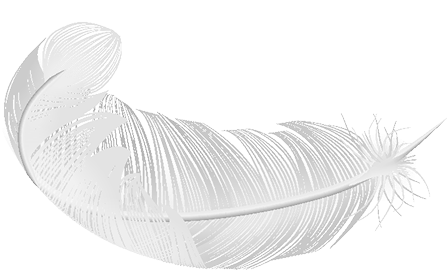 pluma-seccion-1-v2